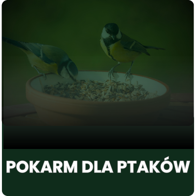 Pokarm dla ptaków